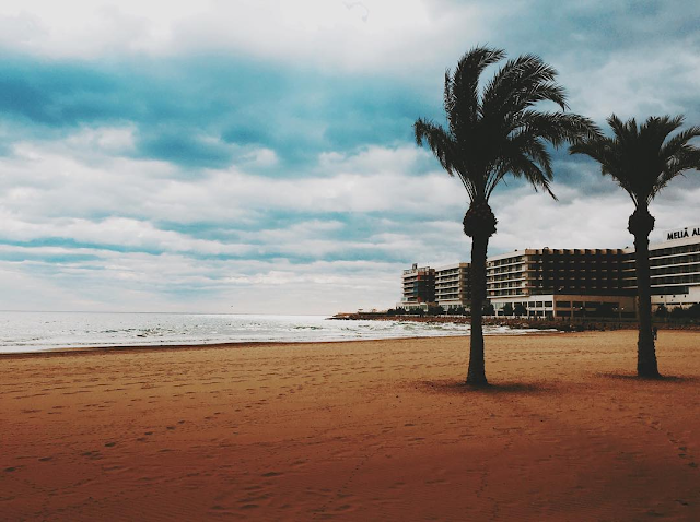 Se ve una playa, en la esquina derecha se erige un hotel. En la parte derecha hay dos palmeras solitarias. No hay nadie y el cielo está salpicado de algunas nubes.