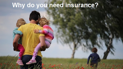 Insurance : What Is The Real Purpose Of Insurance?