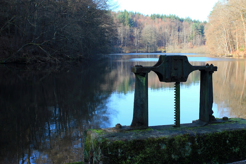 l'étang du grand marteau