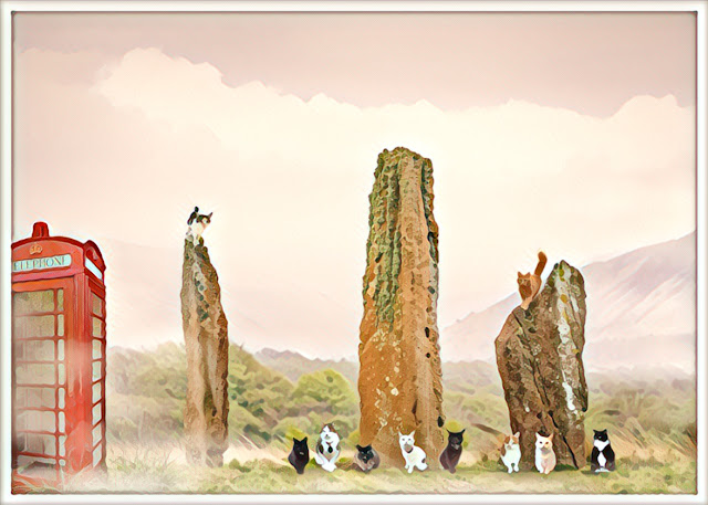 The B Teams Machrie Moor Stones Selfie ©BionicBasil® Caturday Art Blog Hop