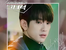 Janett Suhh – Shadows On The Wall (He Is Psychometric Ost Part 5) Lyrics