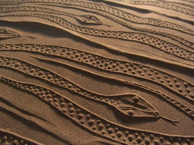 Ahmad Nadalian Sand Prints
