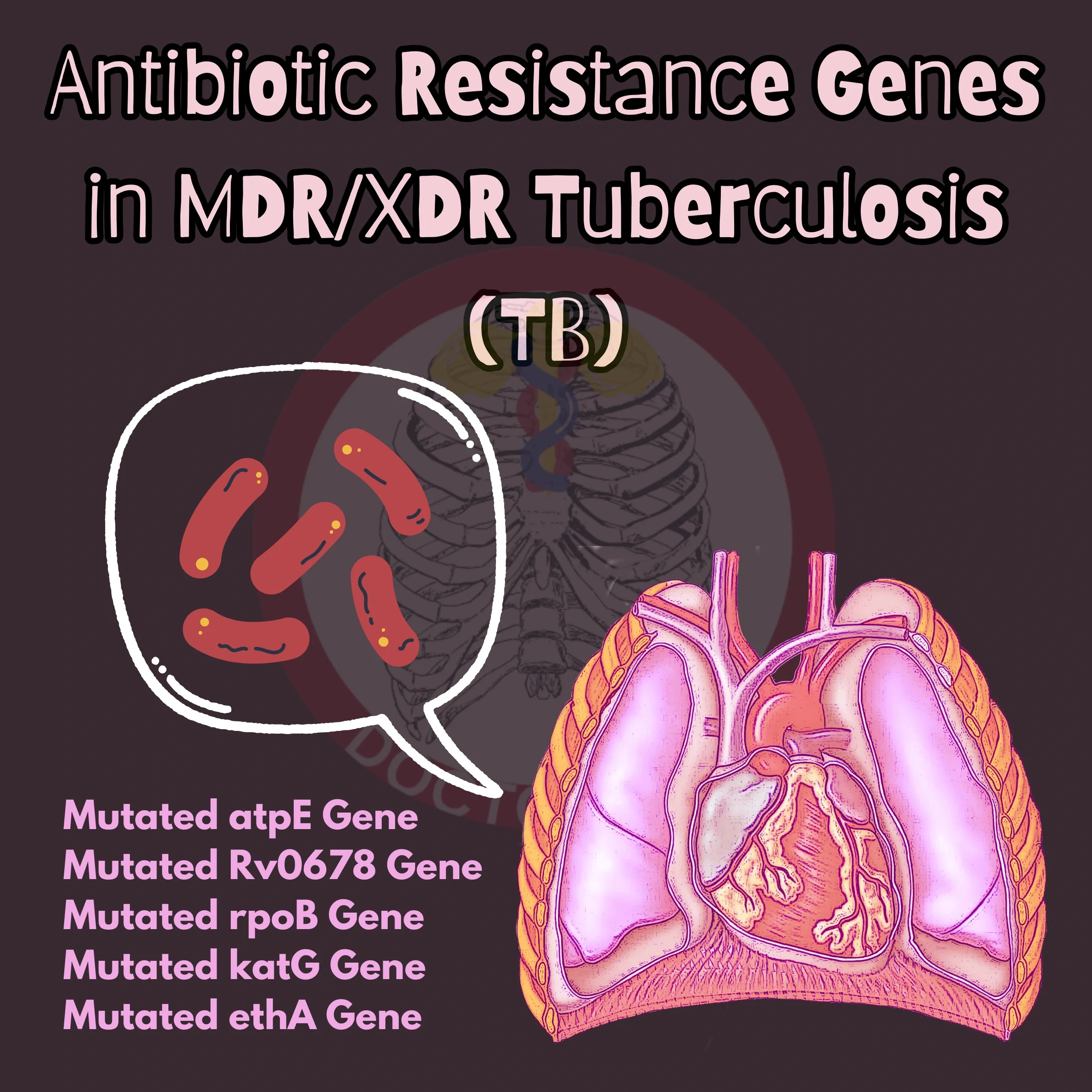 Antibiotic Resistance Genes in MDR/XDR Tuberculosis (TB)