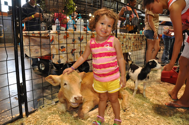 Petting Zoo Photo