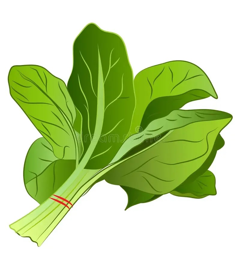 Spinach