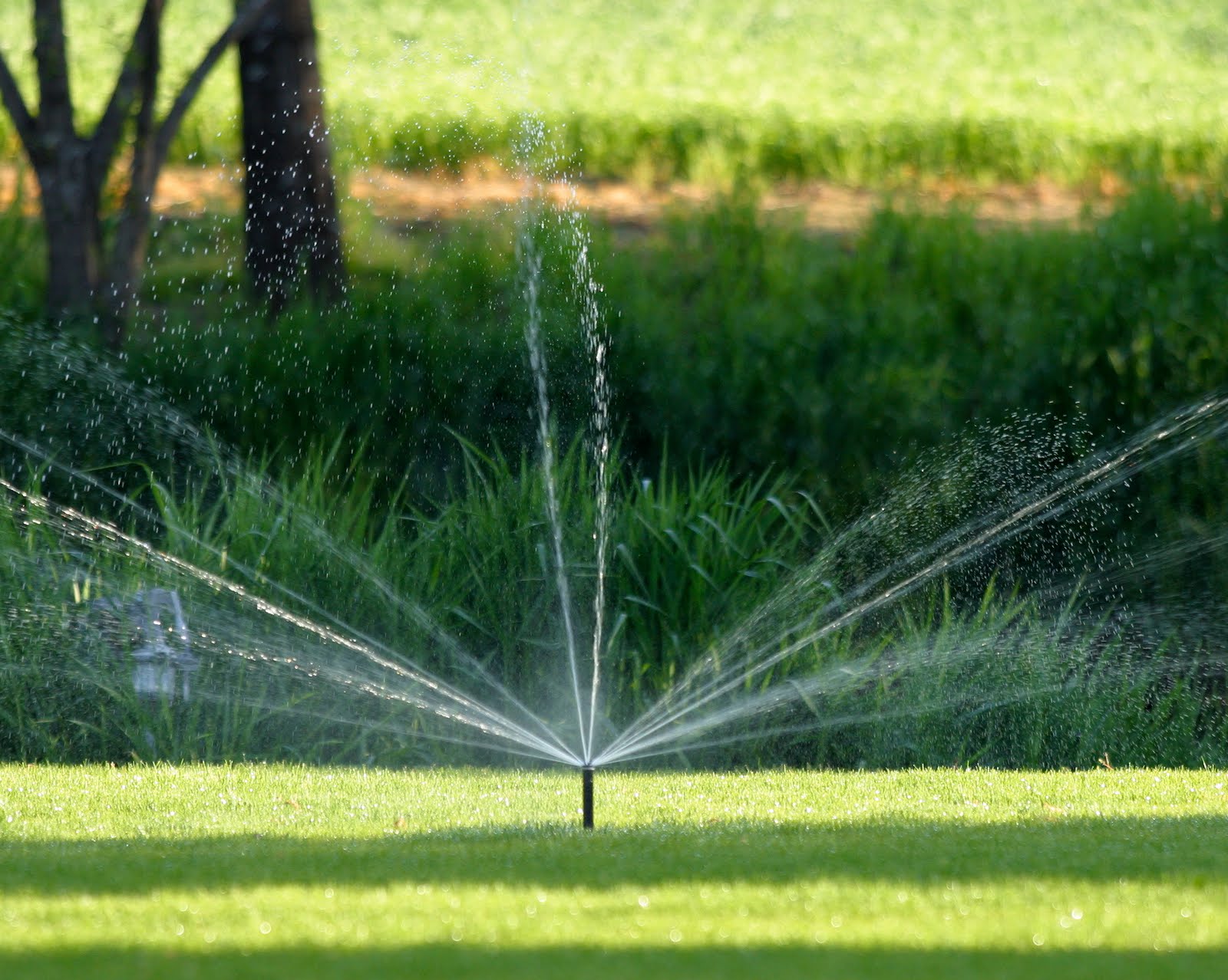 Irrigation Systems