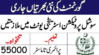Social Protection Department Sindh Jobs 2023 - www.spsu.gos.pk Online Apply