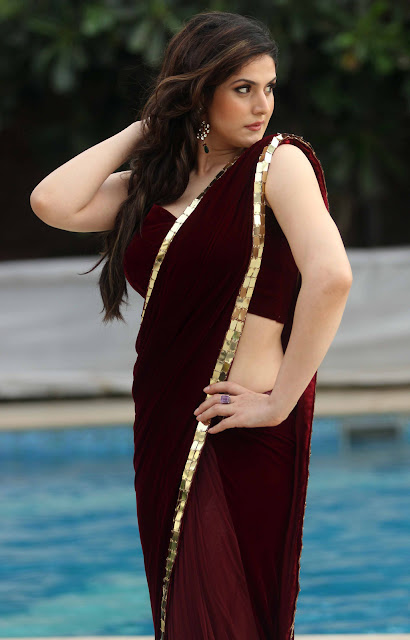 Zarin Khan Bollywood Famous Actress Wear Designer Maroon Saree