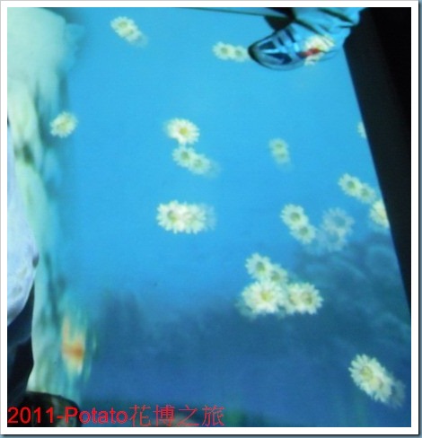 DSCN8762