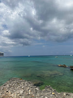 a rocky shore line on Grand Cayman