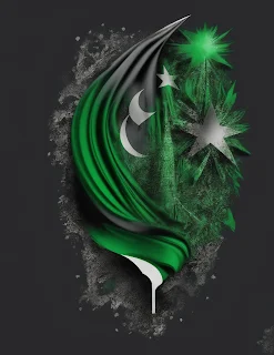 graphic design, Pakistan Independence Day, Unique, vector image, masterpiece,  Black Background,