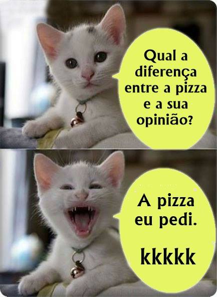 gatinho-do-face-pizza-opiniao, frases engraçadas