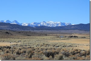 IMG_0227