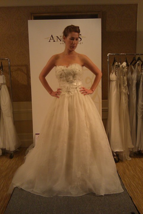 Renee austin wedding dresses