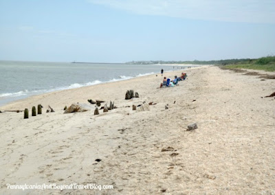 Higbee Beach in Cape May New Jersey