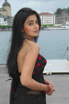 Shreya Saran image