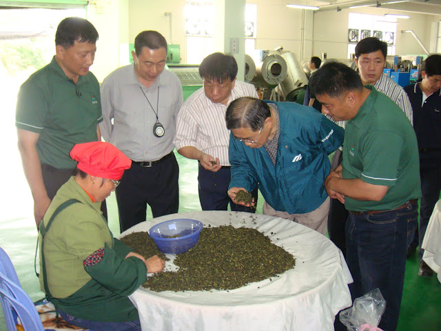 How oolong tea is made?