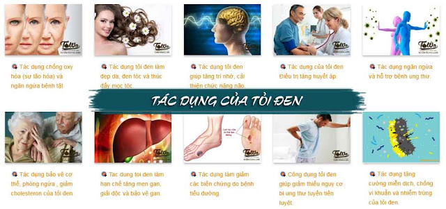 tỏi đen nhật bản có tác dụng gì