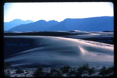 WHITE SANDS, New Mexico, Photographed by Gwendolyn Stewart, c. 2009; All Rights Reserved