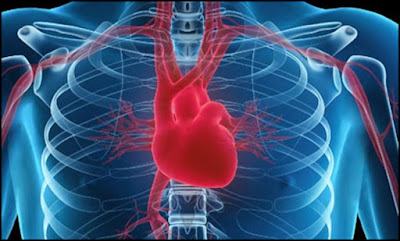 Causes, Symptoms, And Treatment For Heart Attack 