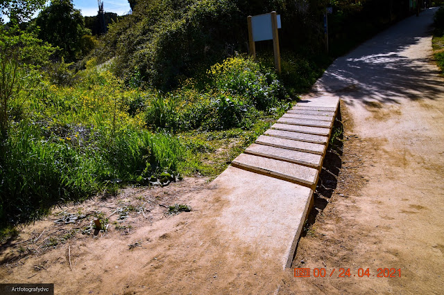 Ruta Pi d'en Xandri a El pantano de Can Borrell (San Cugat del Vallés)