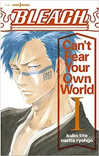 Bleach: Can’t Fear Your Own World vol.1