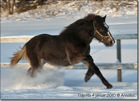 2010-eldjenta-4jan_03