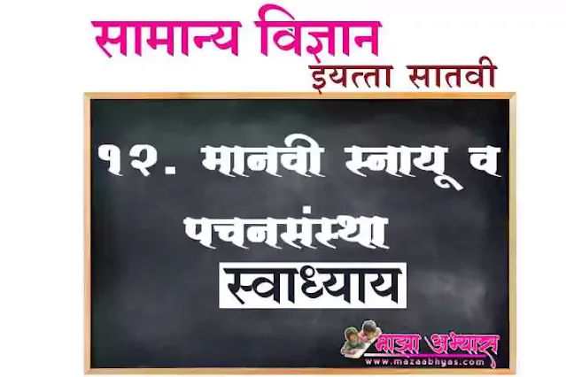 इयत्ता सातवी सामान्य विज्ञान धडा बारावा स्वाध्याय प्रश्न उत्तरे  इयत्ता सातवी सामान्य विज्ञान गाईड pdf  इयत्ता सातवी सामान्य विज्ञान स्वाध्याय धडा १२ मानवी स्नायू व पचनसंस्था स्वाध्याय इयत्ता सातवी  ७std science question answer in Marathi medium pdf