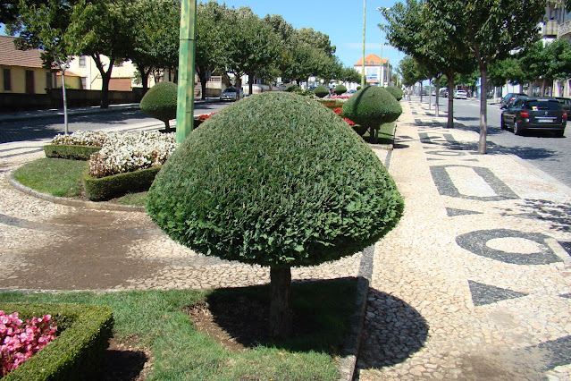 Jardines geométricos o formales (Braganza).