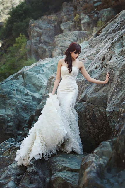 2014 wedding dress