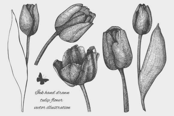  Sketsa Bunga Tulip Gambar Pemandangan