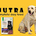 Nutra Complete Dog Food: The Ultimate Guide to a Healthy and Happy Pup