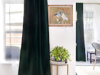 black velvet drapes