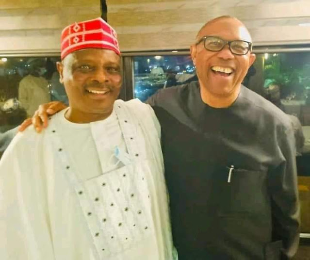 Kwankwaso, Peter Obi Told To Publicly Declare Assets