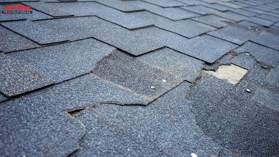 Curling, Missing, or Mossy Shingles Can Mean a Roof Replacement
