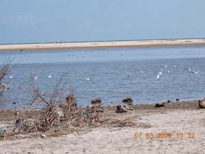 Bay of Bengal  and a lagoon on the narrow strip of Dhanushkodi  village.