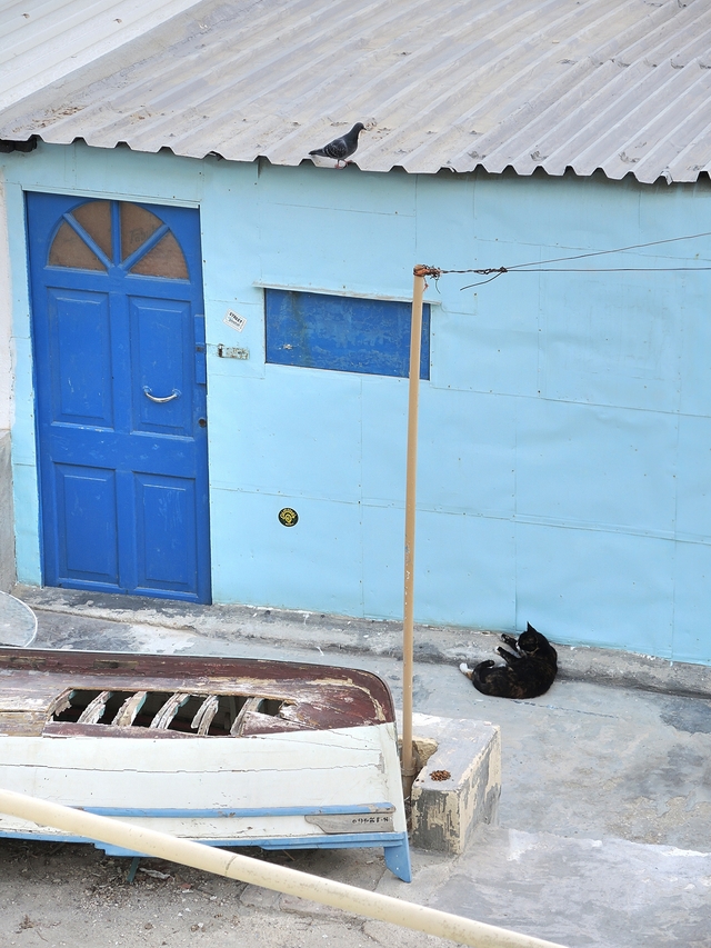 Malta: een vissersdorpje vol met katten