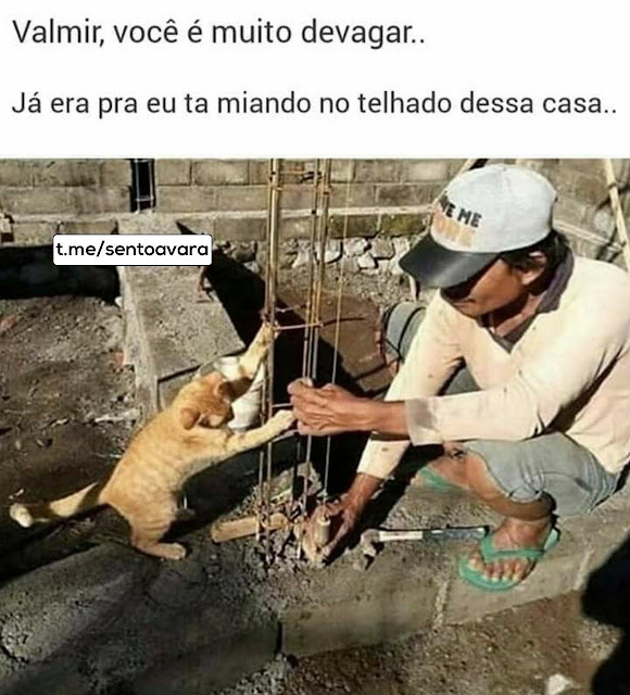 Memes engraçados 