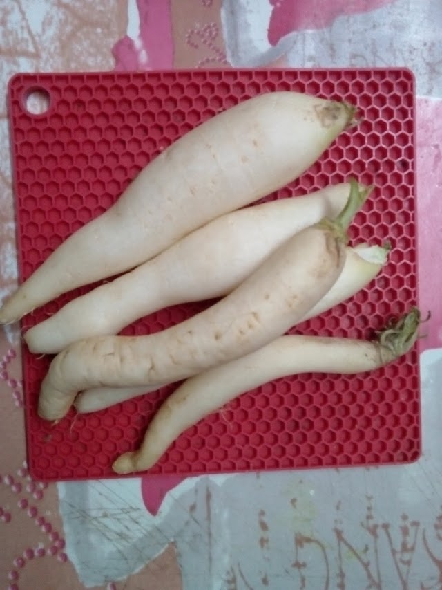  मूली/ Radish