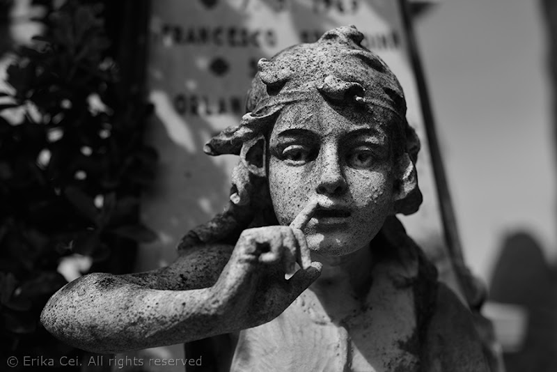 Cimitero di Sant'Anna Trieste