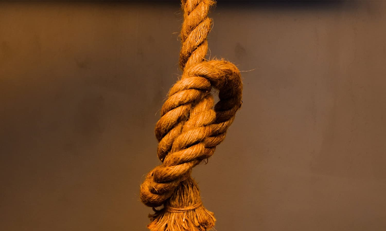 Binga Man Hangs Self In Game Park Over Cheating Wife