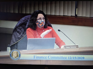 Finance Committee member Susan Dewsnap