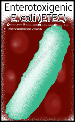Enterotoxigenic E. coli (ETEC) - Bacteriology
