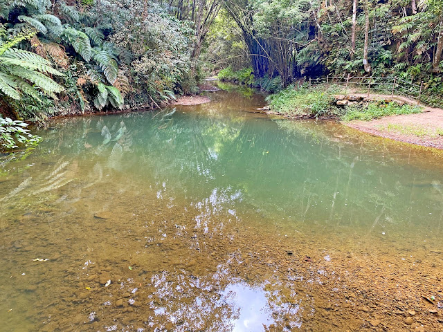 水上平台