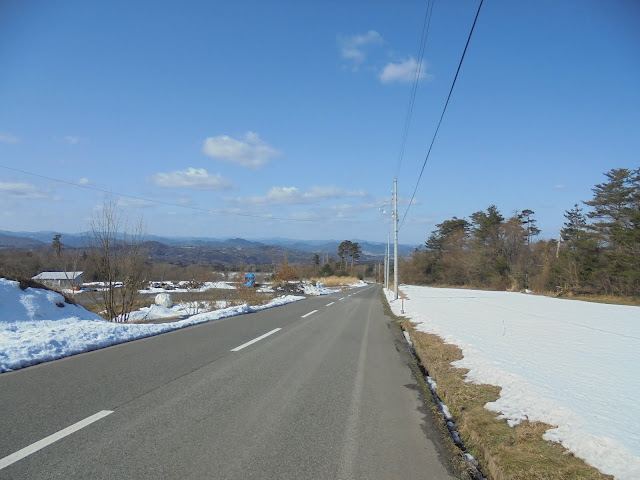 左手が牧場です４本の赤松が見えます