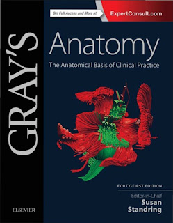 مرجع التشريح Anatomy الأشهر و الاروع Gray's Anatomy 41th