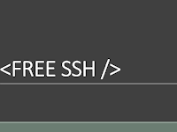 Ssh Gratis 1 Bulan Terbaru Hingga Febuari 2017, Server Singapore Unlimited