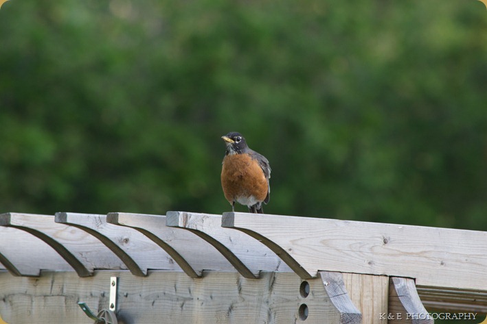 Spring 2013 (10 of 47)-2