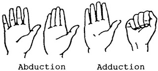 ROM jari-jari tangan dengan gambar