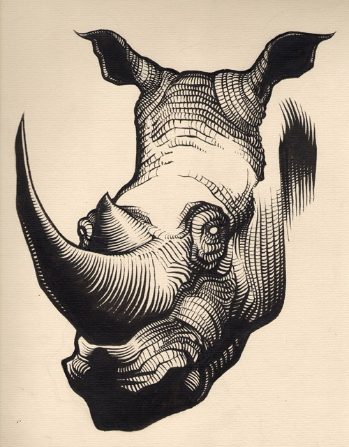 Rhinocéros (étape 1) by Regis Lagoeyte